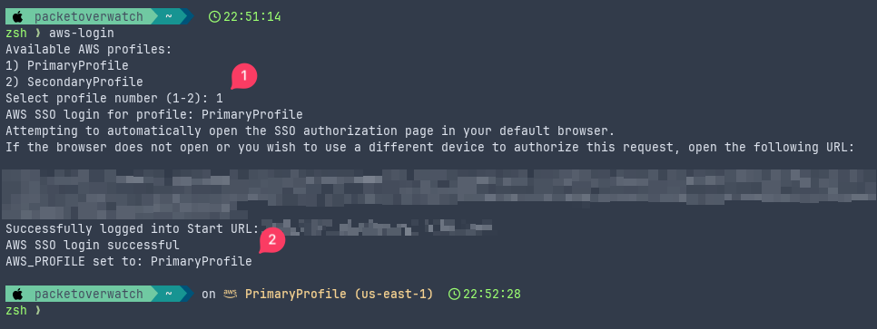 AWS CLI Login Function Screenshot