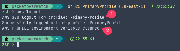 AWS CLI Logout Function Screenshot